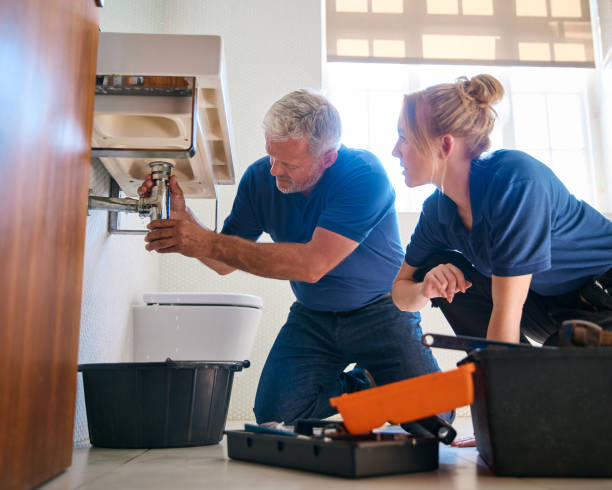 Best Clogged Drain Plumber  in Langston, OK